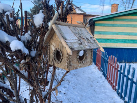 Региональная природоохранная акция «Покормите птиц зимой» Региональная природоохранная акция «Покормите птиц зимой».