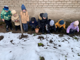 Наступила весна, пора наблюдений за пробуждением природы! Наступила весна, пора наблюдений за пробуждением природы!.